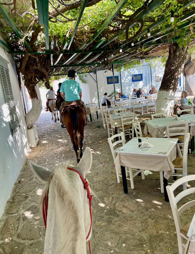Riding horseback through a vine-covered taverna lane on Hydra, Greece